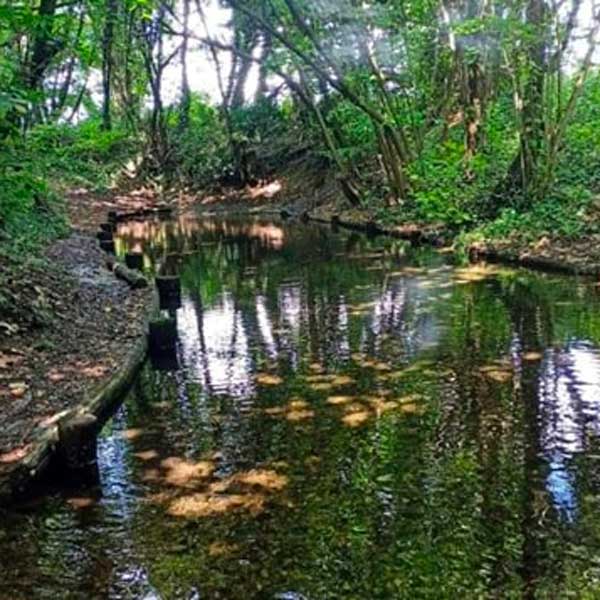 FONTANILI CONZACOLO Pianura Da Scoprire