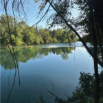 03_1080X1080__IGPOST_PALOSCO 2026-03