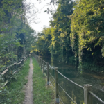 03_1080X1080__IGPOST_PALOSCO 2026_2