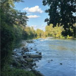 03_1080X1080__IGPOST_PALOSCO 2026_3